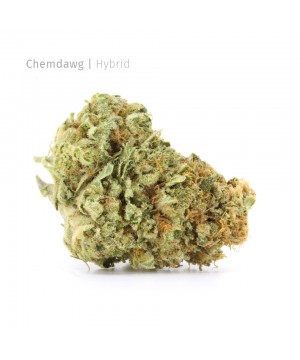 Chemdawg | Hybrid