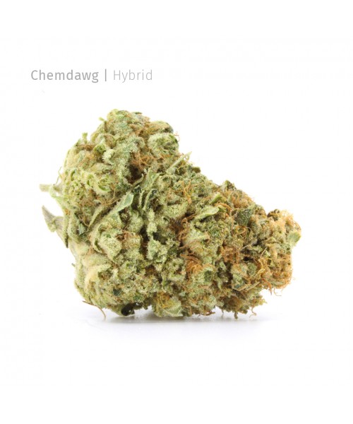 Chemdawg | Hybrid