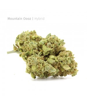 Mountain Oooz | Hybrid