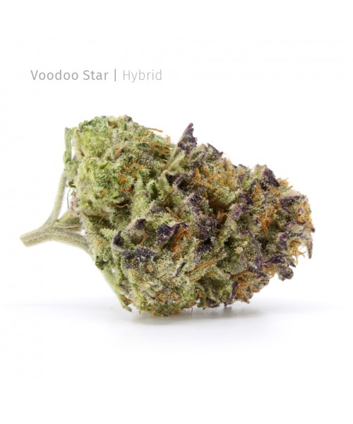 Voodoo Star | Hybrid