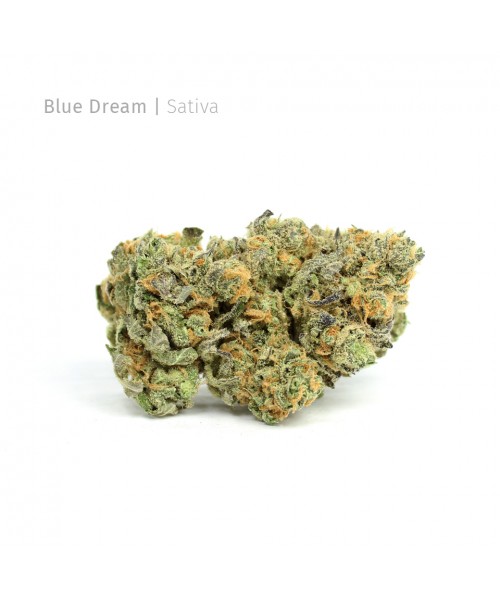 Blue Dream Sativa Blue Dream Sativa